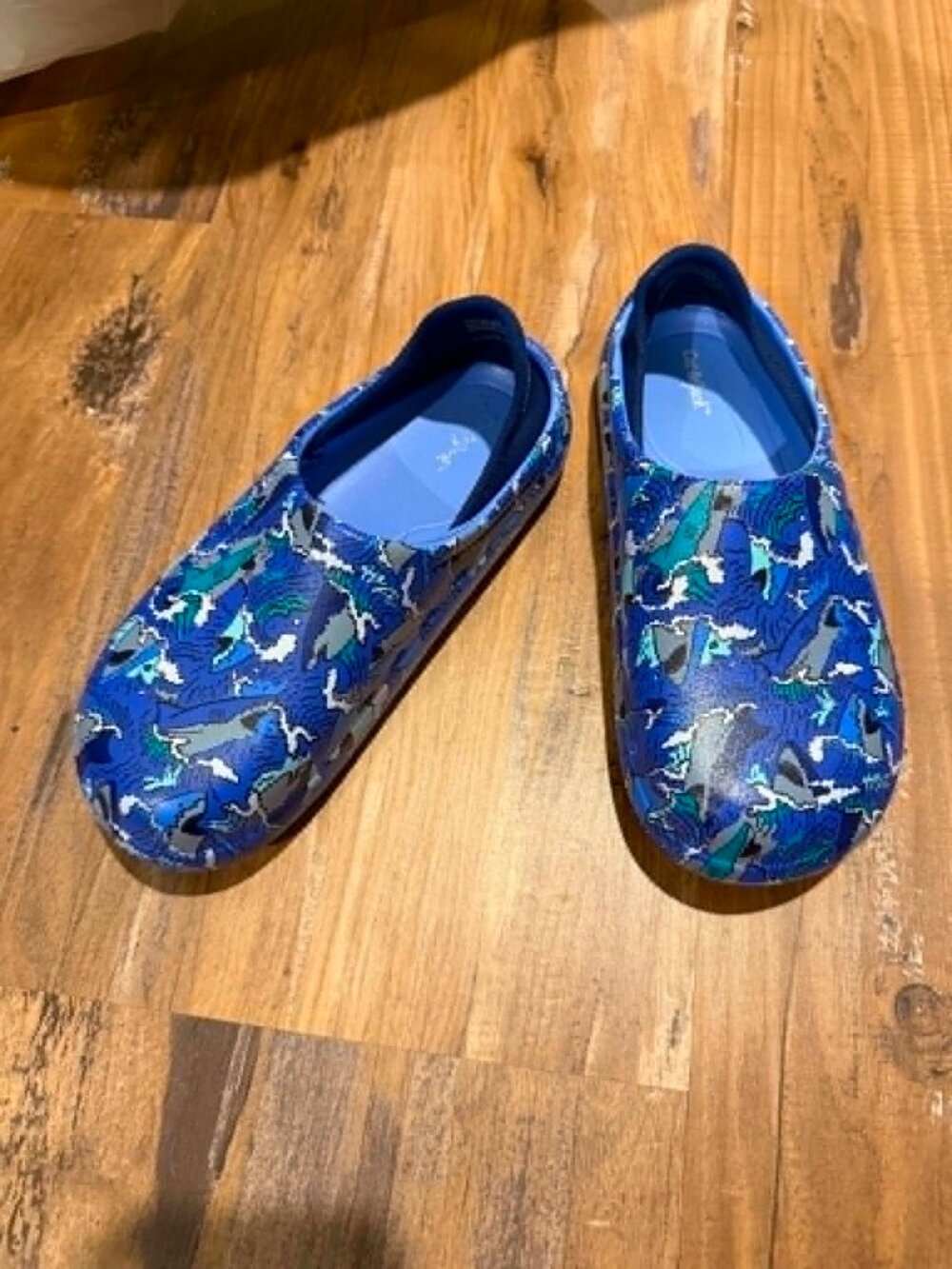 Boys Slip on Shoes Size 12